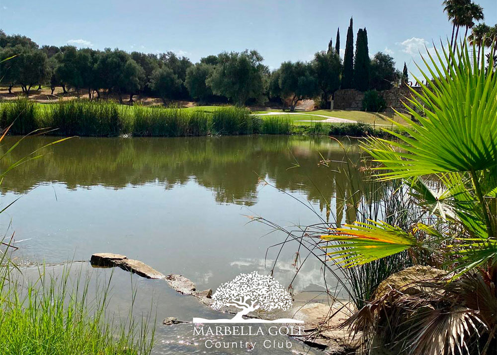 marbella golf and country club