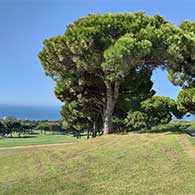 Cabopino Golf