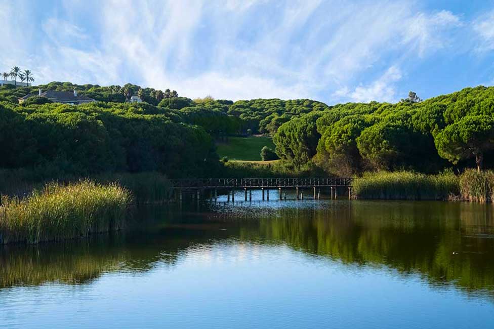 Formule Birdie SO Sotogrande