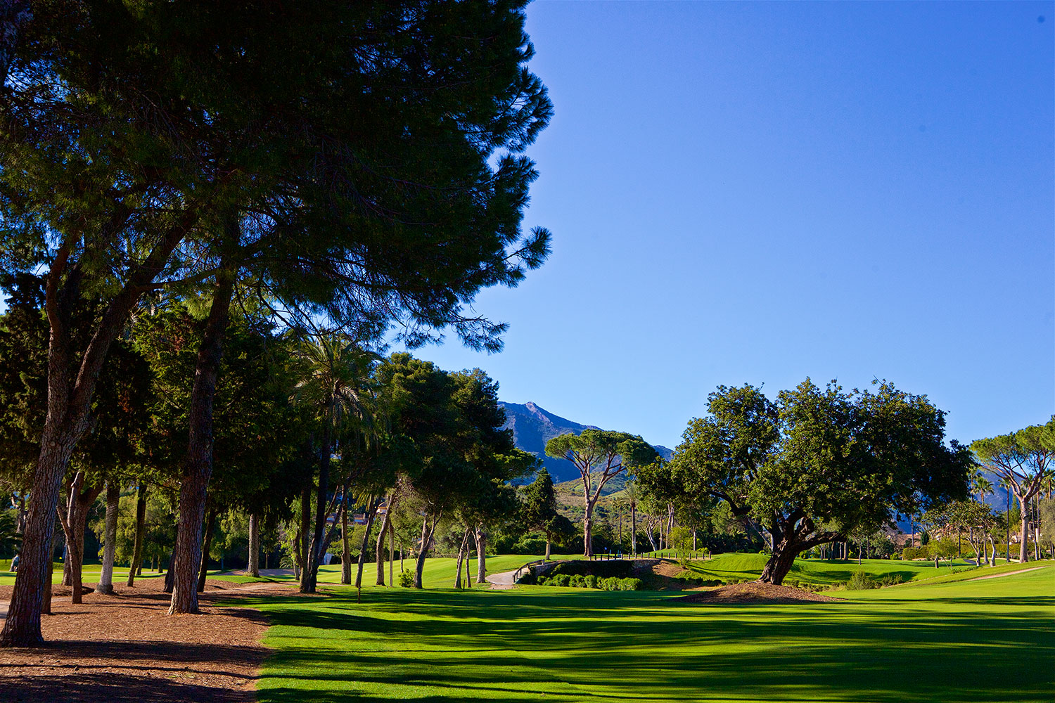 Rio Real Golf Marbella
