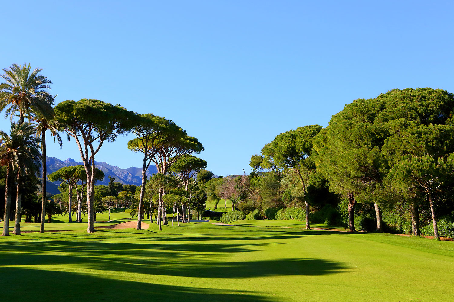 Rio Real Golf Marbella